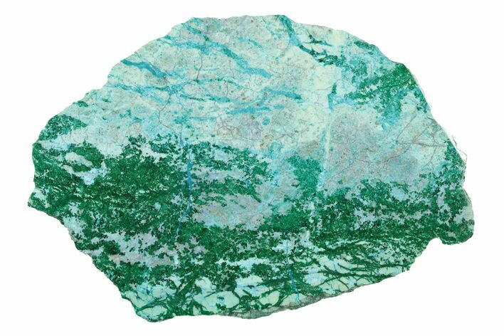 Polished Blue River Chrysocolla Section - Arizona #240589